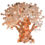 Blog - Money Tree